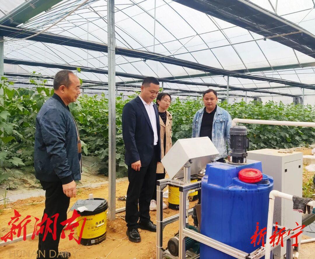 肖容到乡镇调研督导重点工作_邵阳头条网